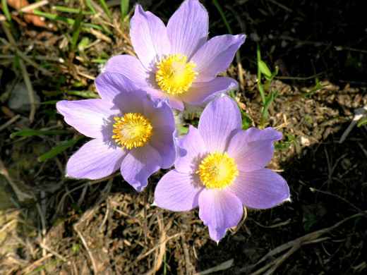 422989 (a): :1600x1200